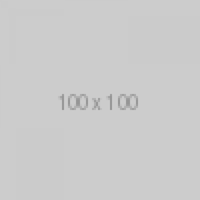 100X100