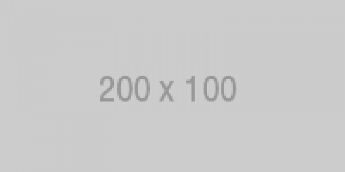 200X100